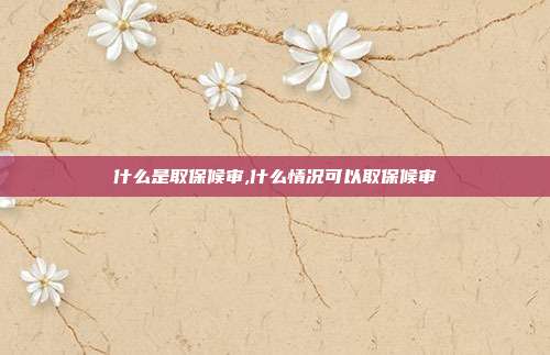 什么是取保候審,什么情況可以取保候審